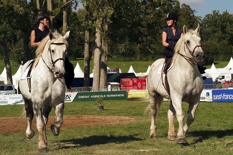 Duo de cavalières au mondial du Percheron au haras national du Pin en 2011