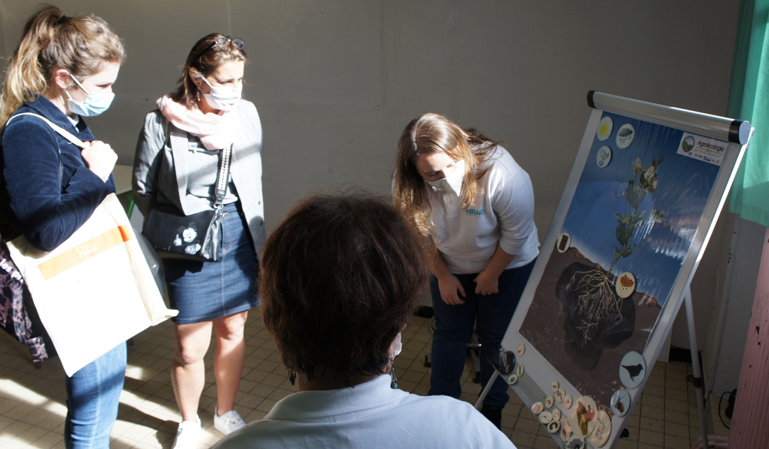 FDS 2021 Dijon  - Atelier le sol ce monde invisible
