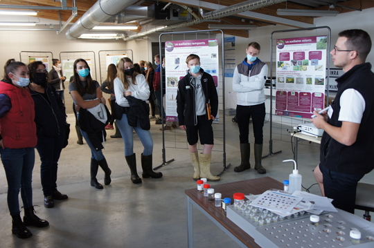 Atelier suivis biologiques en laboratoire_02