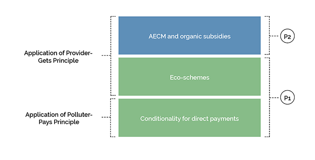 How can the CAP help achieve the European Green Deal's agriculture ...