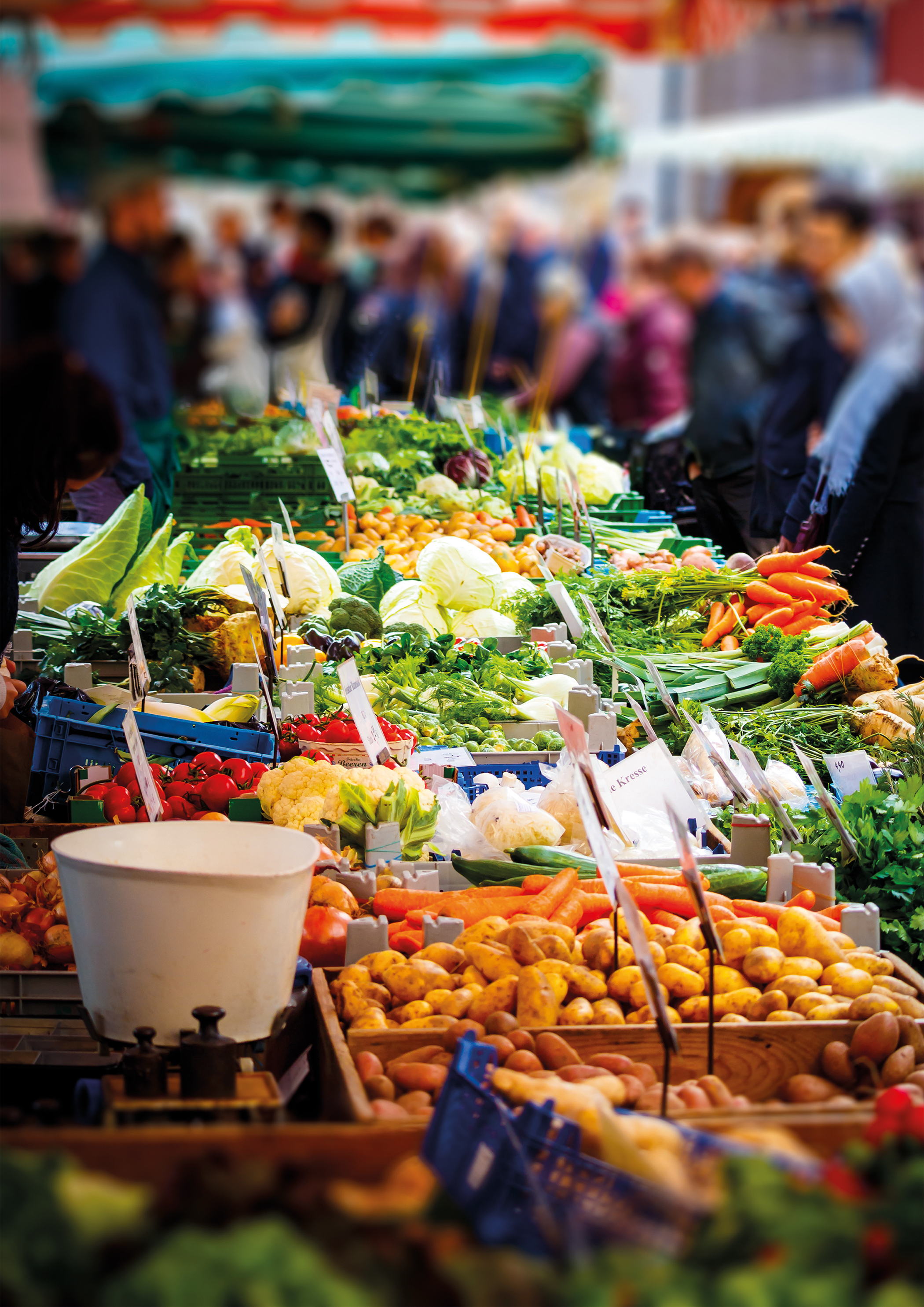 Alimentation, santé globale