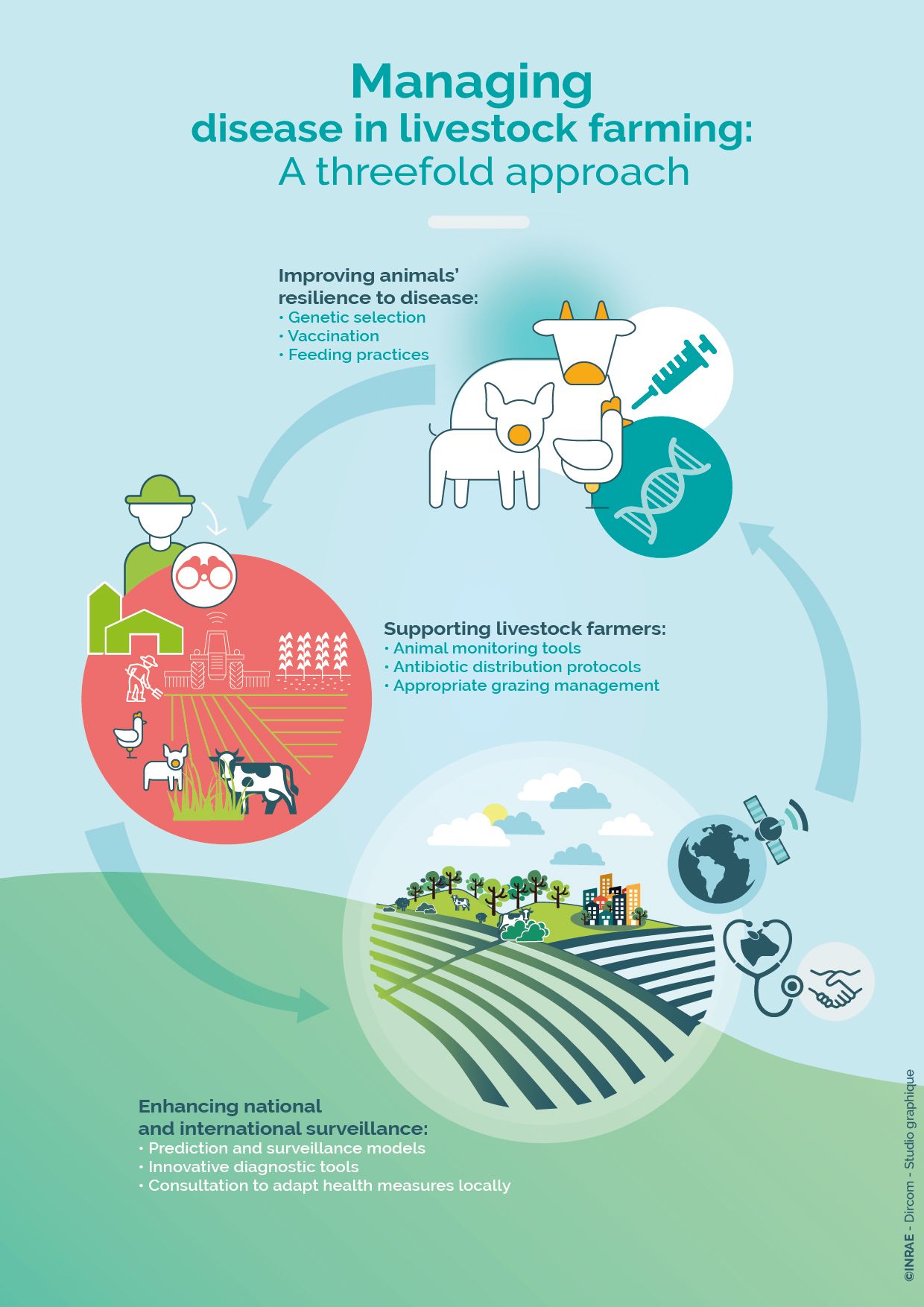 Infographic: Improving animals' resilience to disease: genetic selection, vaccination, feeding practices. Supporting livestock farmers: animal monitoring tools, antibiotic distribution protocols, appropriate grazing management. Enhancing national and international surveillance: prediction and surveillance models, innovative diagnostic tools, consultation to adapt health measures locally.