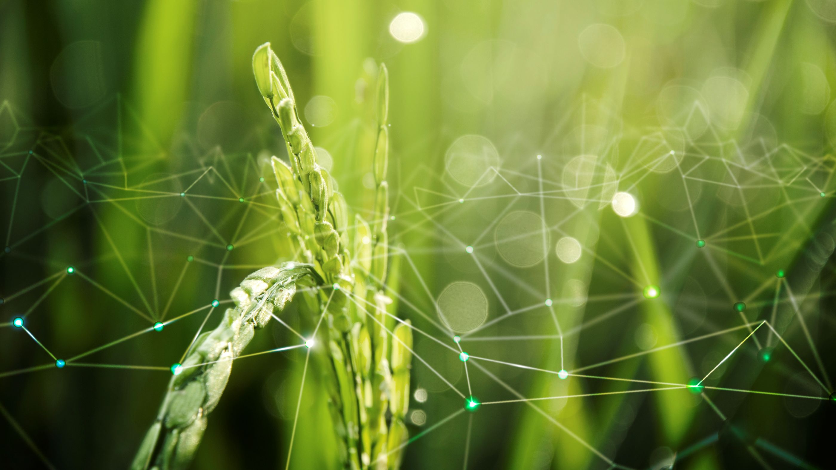 Inrae Background GreenFieldData: a European network of excellence for training and ...