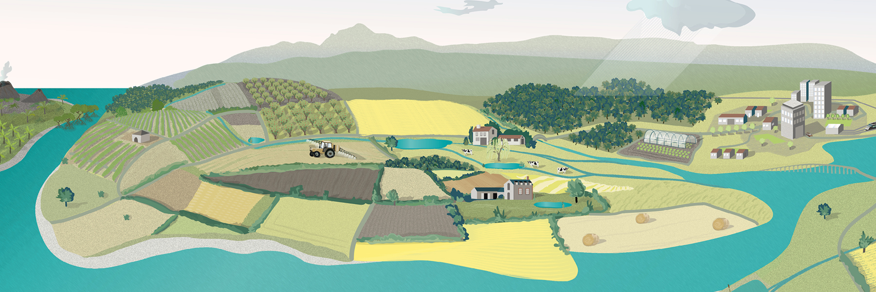 Biodiversité et services rendus par la nature : que sait-on de l’impact des pesticides ?
