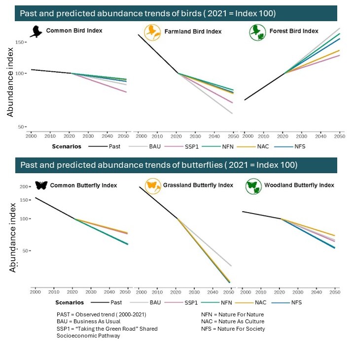 Evolution de l'index d'abondance des oiseaux et papillons communs