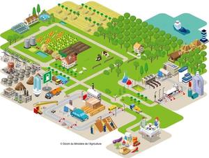 Colloque Bioéconomie 2019