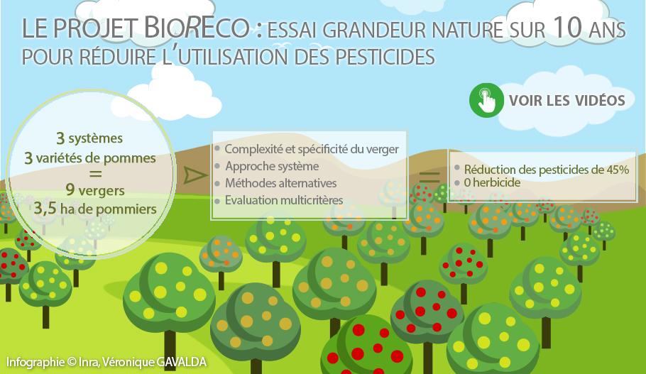 Le verger de Gotheron : quand la biodiversité tourne rond