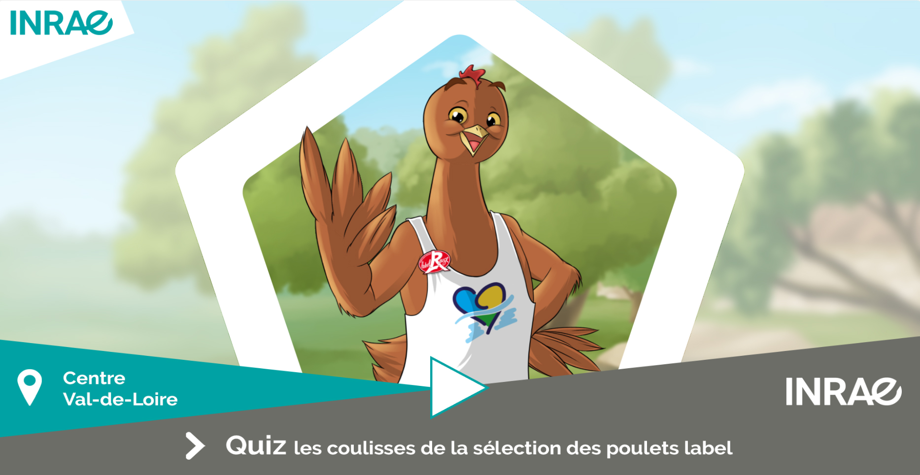 Quiz : les coulisses de la sélection des poulets label (accueil)