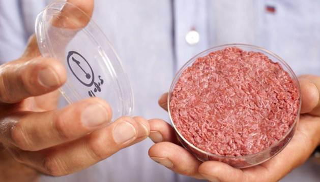 Steack in vitro
