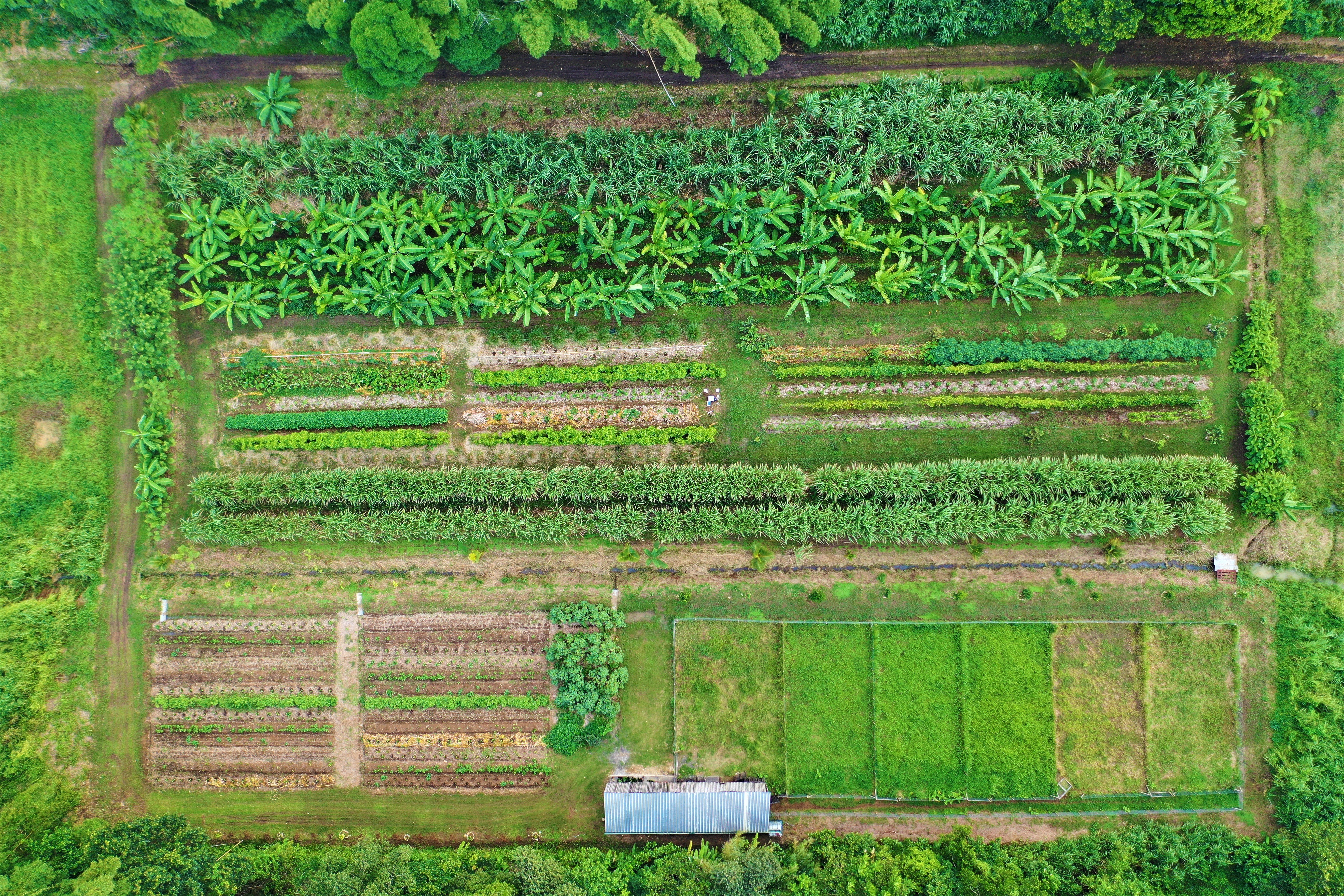 Ferme Karusmart
