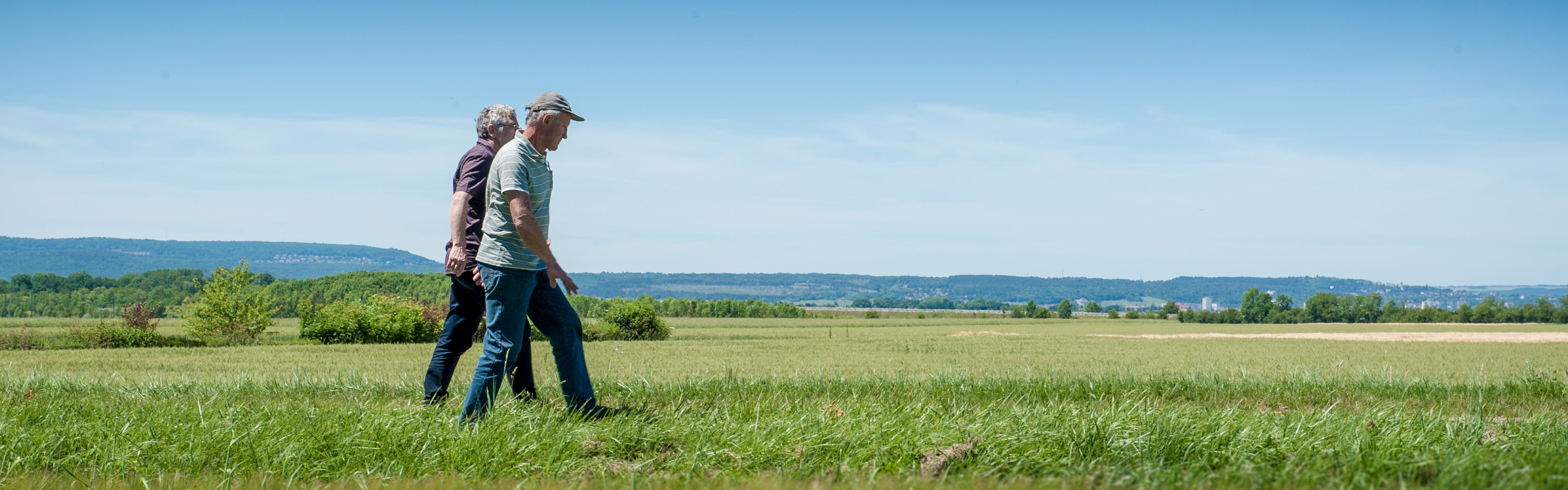 Illustration de Institut National de Recherche pour l’Agriculture, l’Alimentation et l’Environnement - Bourgogne-Franche-Comté