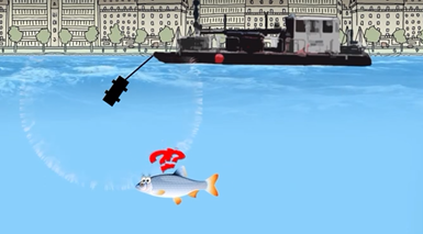 Impact des tirs sismiques sur les poissons