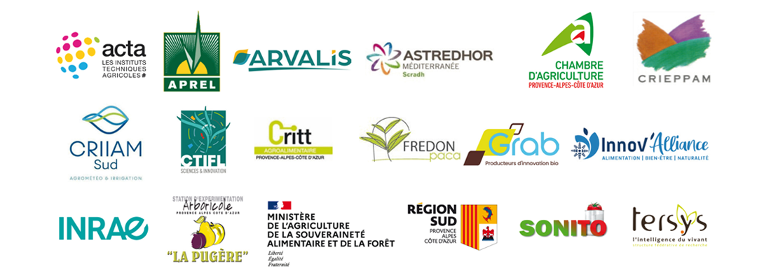 Les membres du réseau RED provence-Alpes-Côte d'Azur