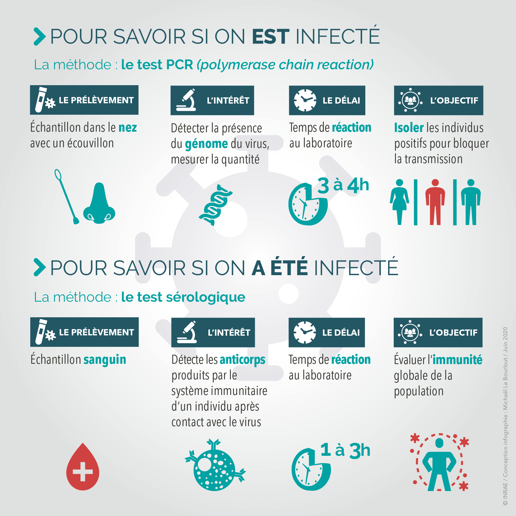 Grippe et Covid-19 : de nouveaux tests permettent de détecter les deux  virus en même temps 