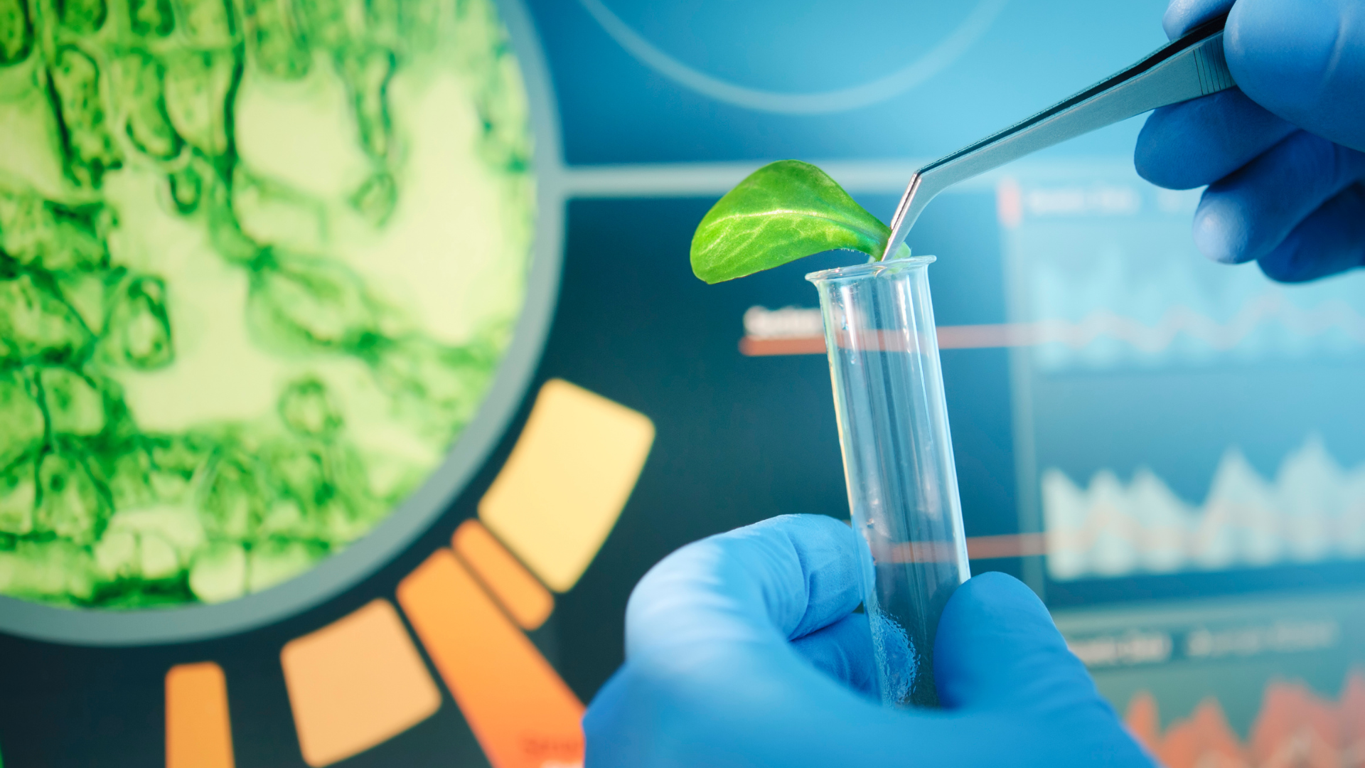 Агрономическая химия. Агрономическая химия. Агроном агрохимик. Институт исследования почвы. Профессии связанные с биологией агрохимик.