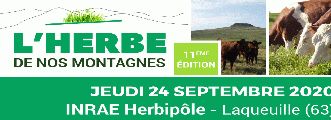 illustration Herbe de nos montagnes