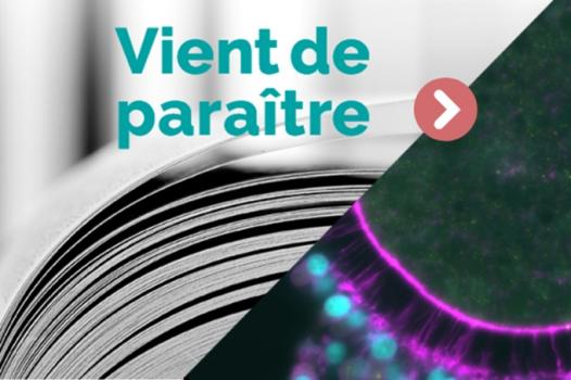Le centre INRAE Île-de-France-Jouy-en-Josas-Antony publie son rapport d'activité 2024