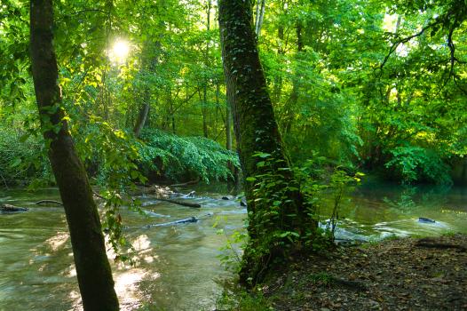 Des recherches aux solutions pour l'environnement