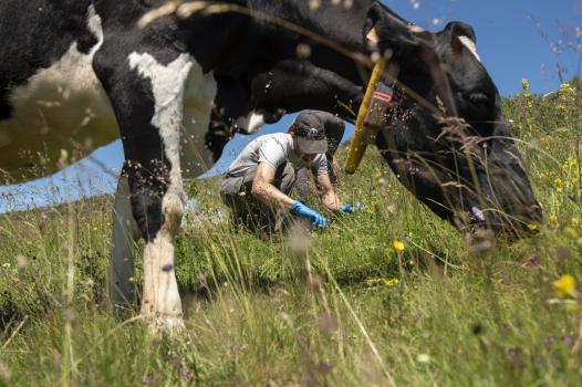 L'élevage face aux défis du changement climatique