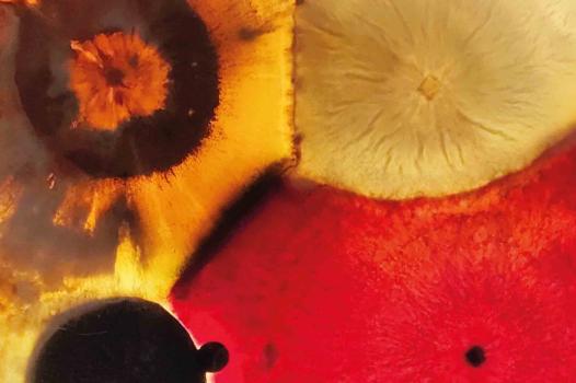 Le rapport Recherche et Innovation du département TRANSFORM édition 2025 est paru !