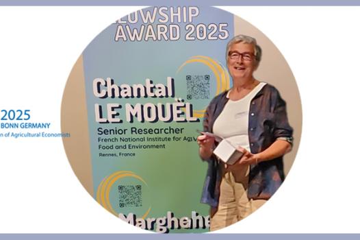 Chantal Le Mouël distinguée par l’EAAE Fellow Award pour sa contribution à l’avancement de l’économie agricole en Europe