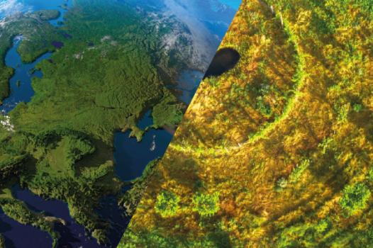 Priorités INRAE 2025-2030 :  lancement de 15 défis « Recherche et Innovation » 