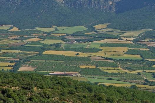 Pour une meilleure comparaison entre agriculture biologique et conventionnelle