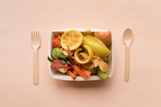 Making food from our organic waste: a good idea only at first sight?