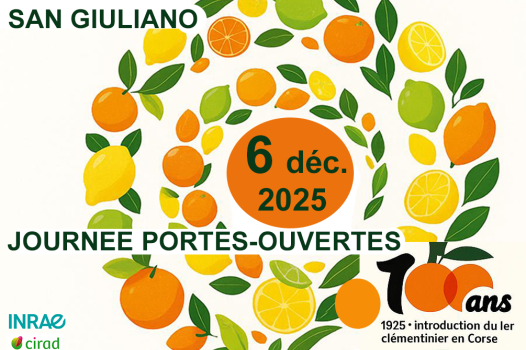 🍊 Journée Portes Ouvertes – INRAE San Giuliano