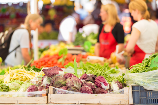 Des recherches pour accompagner les transitions alimentaires, agricoles et environnementales en région Occitanie-Montpellier