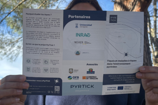 Tiques et maladies à tiques dans l'environnement pyrénéen : un dépliant pour mieux se protéger