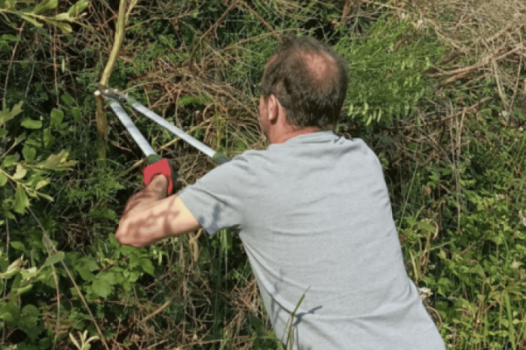 Des bioraffineries pour la valorisation des déchets agroforestiers