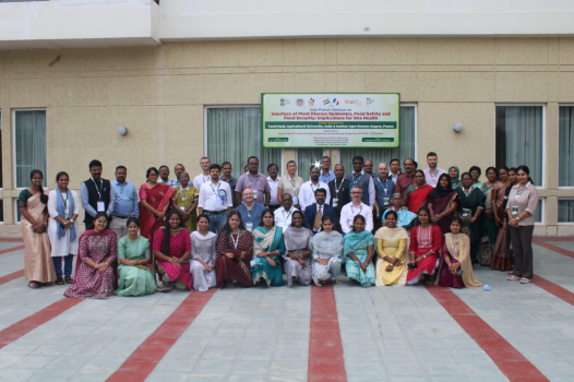 A seminar on the Interface of Plant Disease Epidemics, Food Safety and Food Security: Implications for One Health