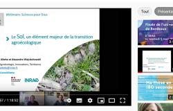Visuel replay web