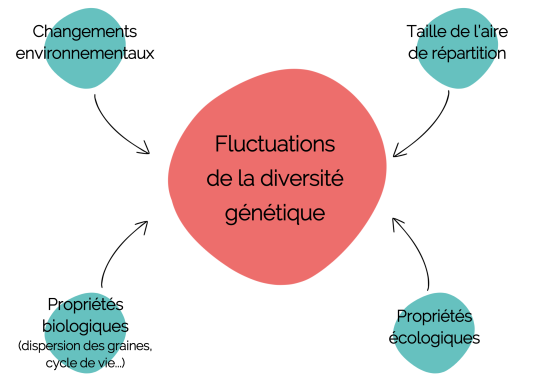Diversité génétique des arbres forestiers européens