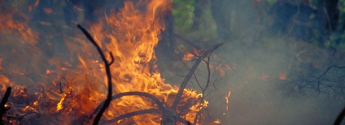 illustration Pleins feux sur les incendies du futur