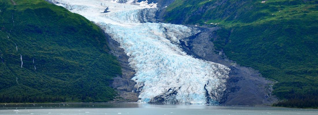 illustration Le changement climatique modifie la biodiversité autour des glaciers
