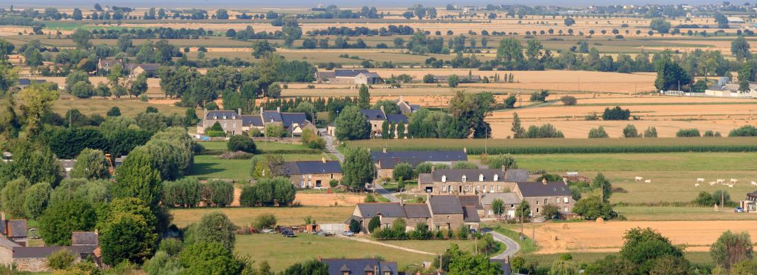 illustration Vers une meilleure prise en compte des externalités agricoles dans l’espace dans les modèles de prix hédoniques