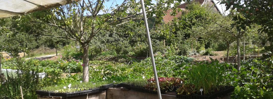illustration Ferme du Bec Hellouin : la beauté rend productif
