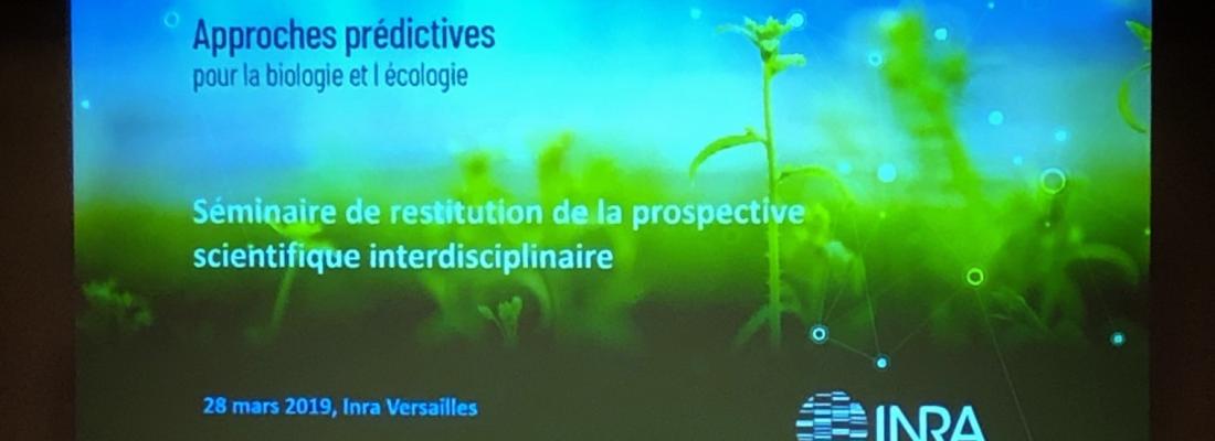 illustration Approches prédictives pour la biologie et l’écologie : l’Inra adopte un plan d’action ambitieux dans un domaine scientifique essentiel