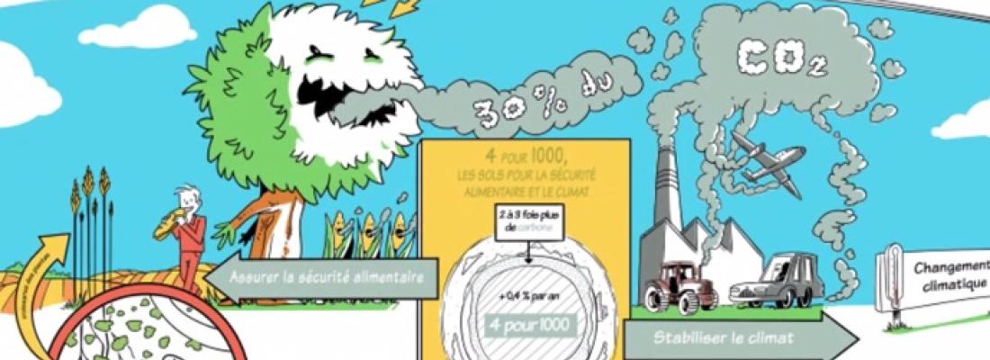 illustration Des sols pour la sécurité alimentaire et le climat