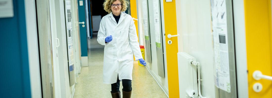 illustration Lucie Pellissier, lauréate de l’appel ERC Starting Grant 2019
