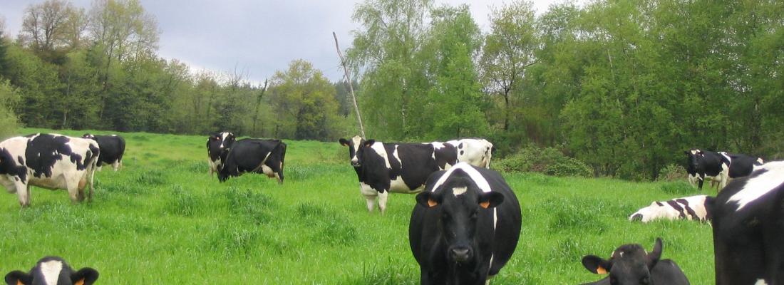 illustration Epidémiosurveillance en santé animale : signature de la plateforme ESA