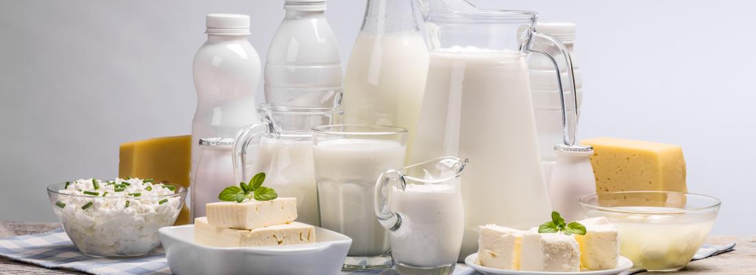 illustration Les produits laitiers, nos alliés santé !