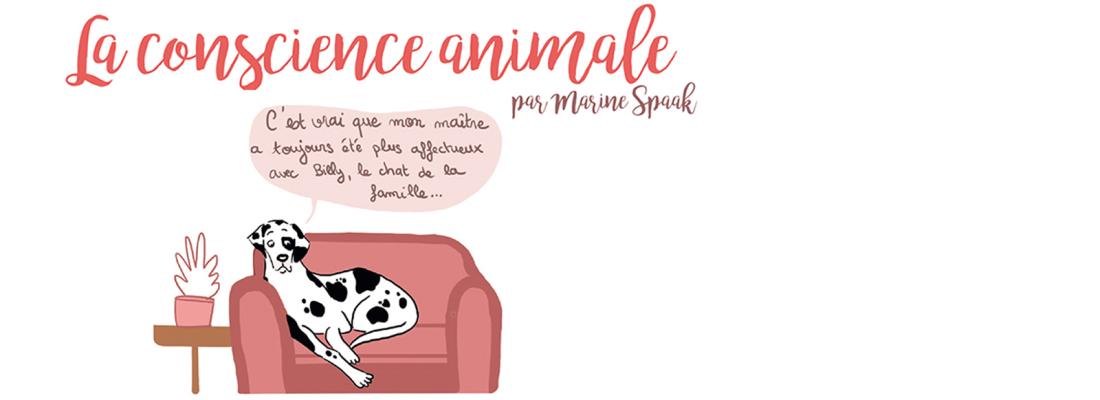 illustration La conscience animale en BD