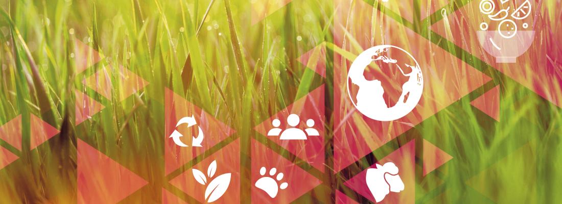 illustration Dossier de presse : One Health, une seule santé pour la Terre, les animaux et les Hommes