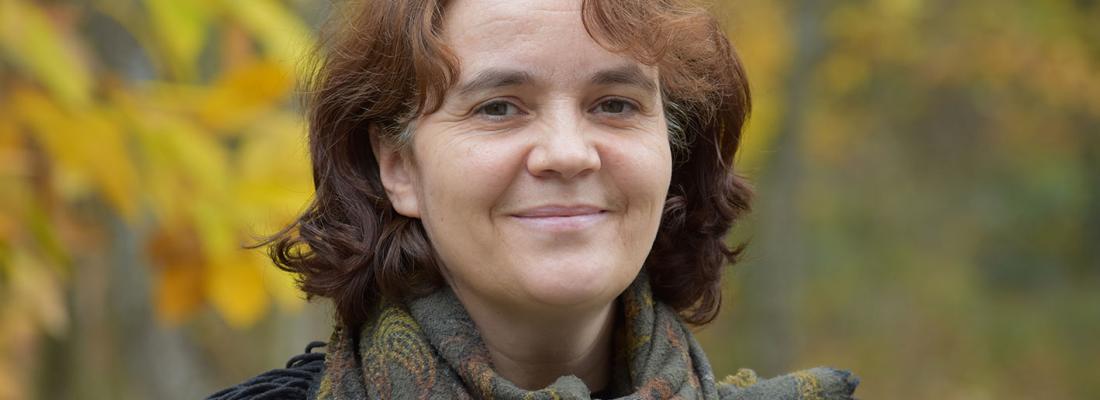 illustration Isabelle Cousin : Le sol, de la motte au climat