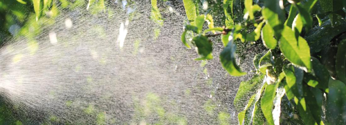 illustration Prendre en compte les effets des pesticides dans les procédures réglementaires