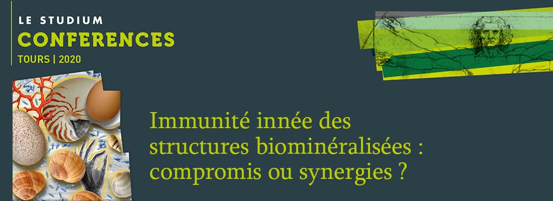 illustration Symposium Immunité innée des structures biominéralisées : compromis ou synergies ?