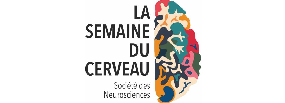 illustration 21e Semaine du Cerveau à Dijon